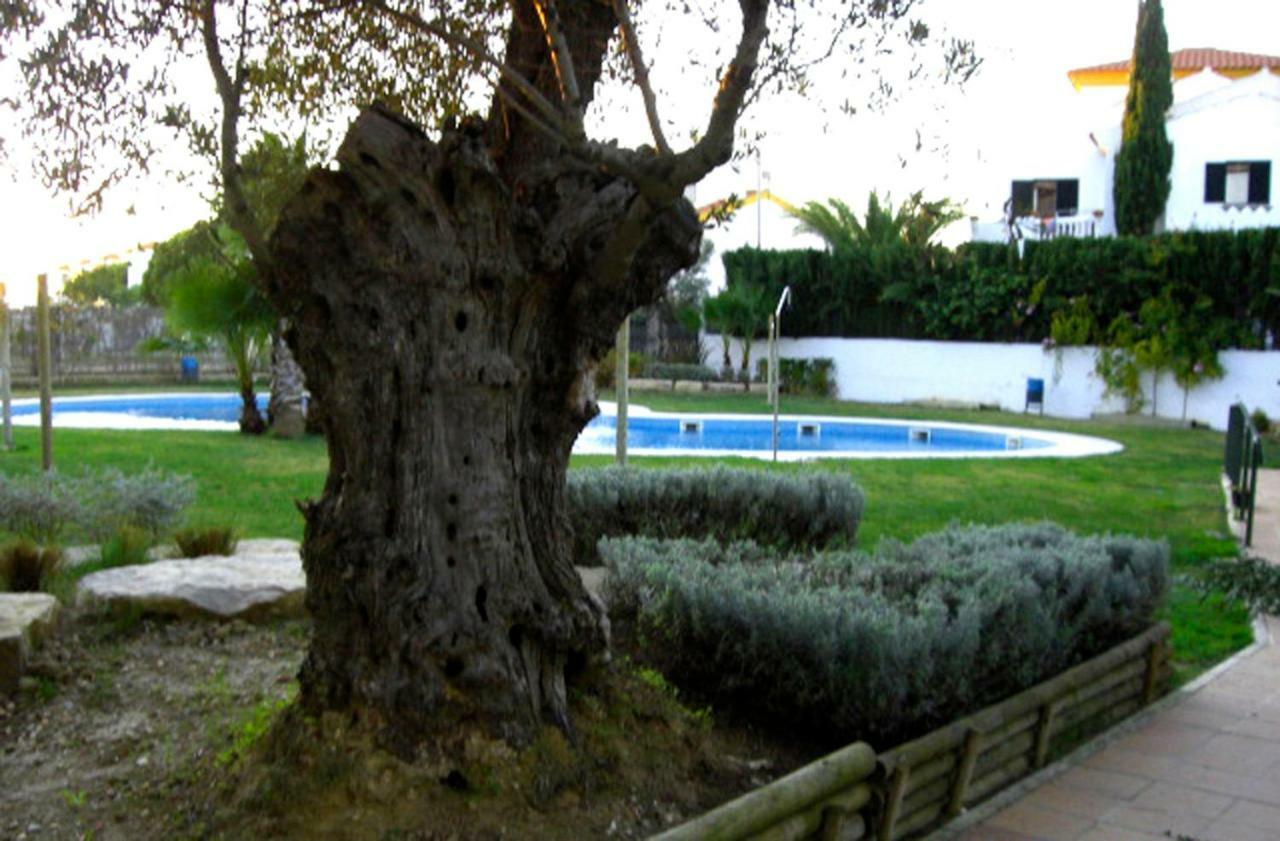 Estupendo Huelva Flecha Del Rompido *